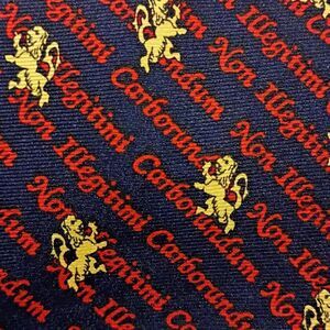 Vintage Alynn Neckwear Latin "Don't Let The Bastards Grind You Down" Men's Tie